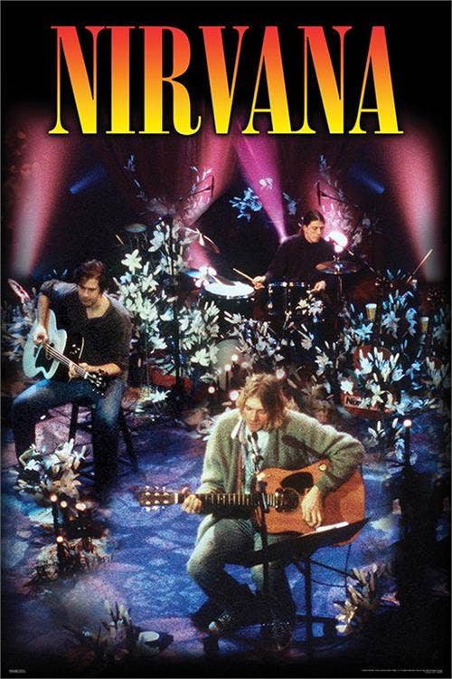 Nirvana in Concert Poster - 24" x 36": Shrinkwrapped on Cardboard