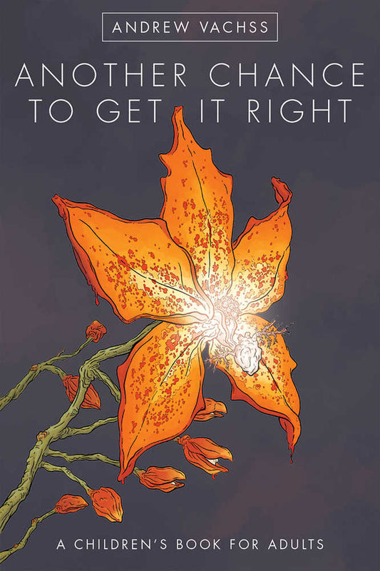 Another Chance To Get It Right HC (4th Edition)