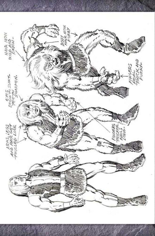 Thundarr The Barbarian #1 Cover U Inc 1:7 Jack Kirby Model Sheet Virgin Foc Bonus Variant